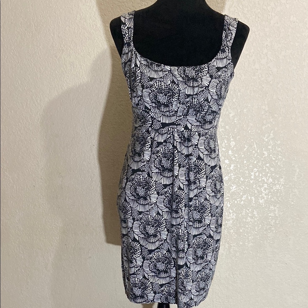 Ann Taylor Dress